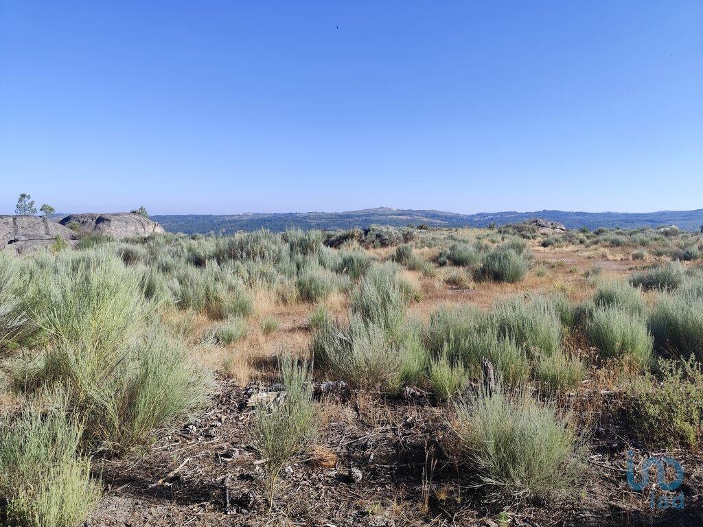 Land in Sernancelhe - view 1