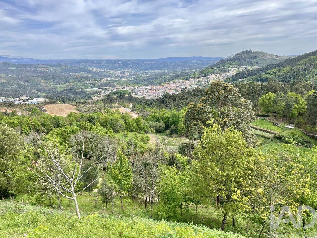 Land in Vouzela - view 1