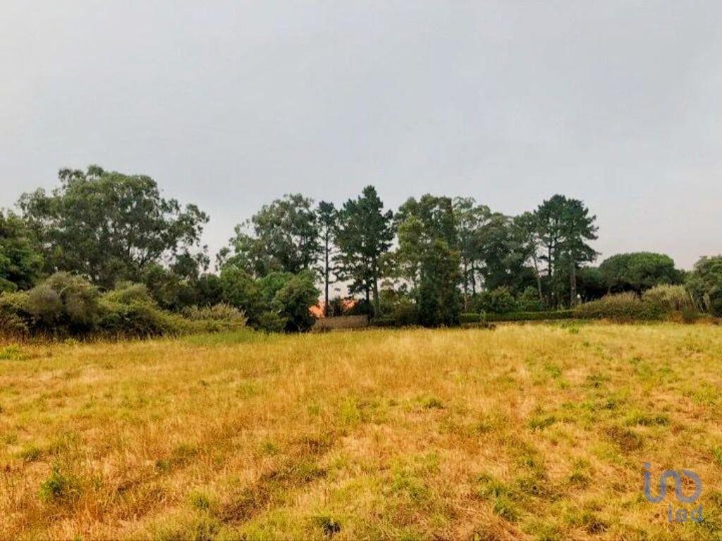Land in Sintra - view 1