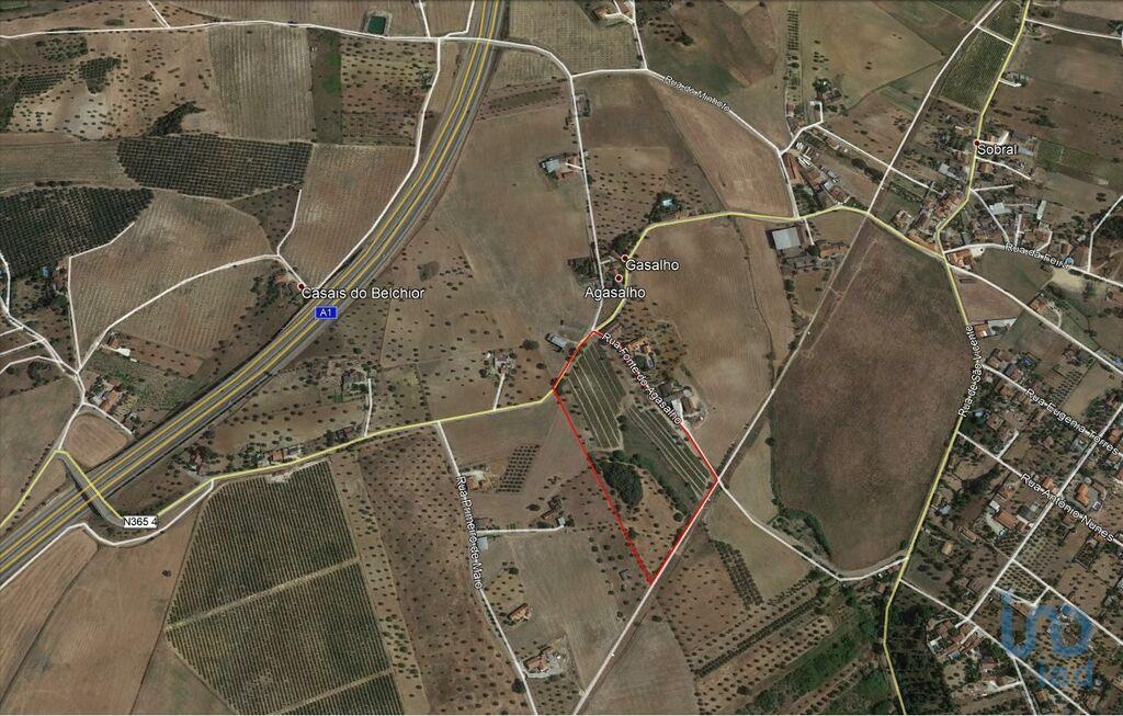 Land in Santarem - view 1