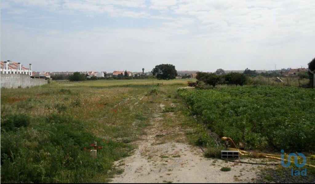 Land in Alcochete - view 1