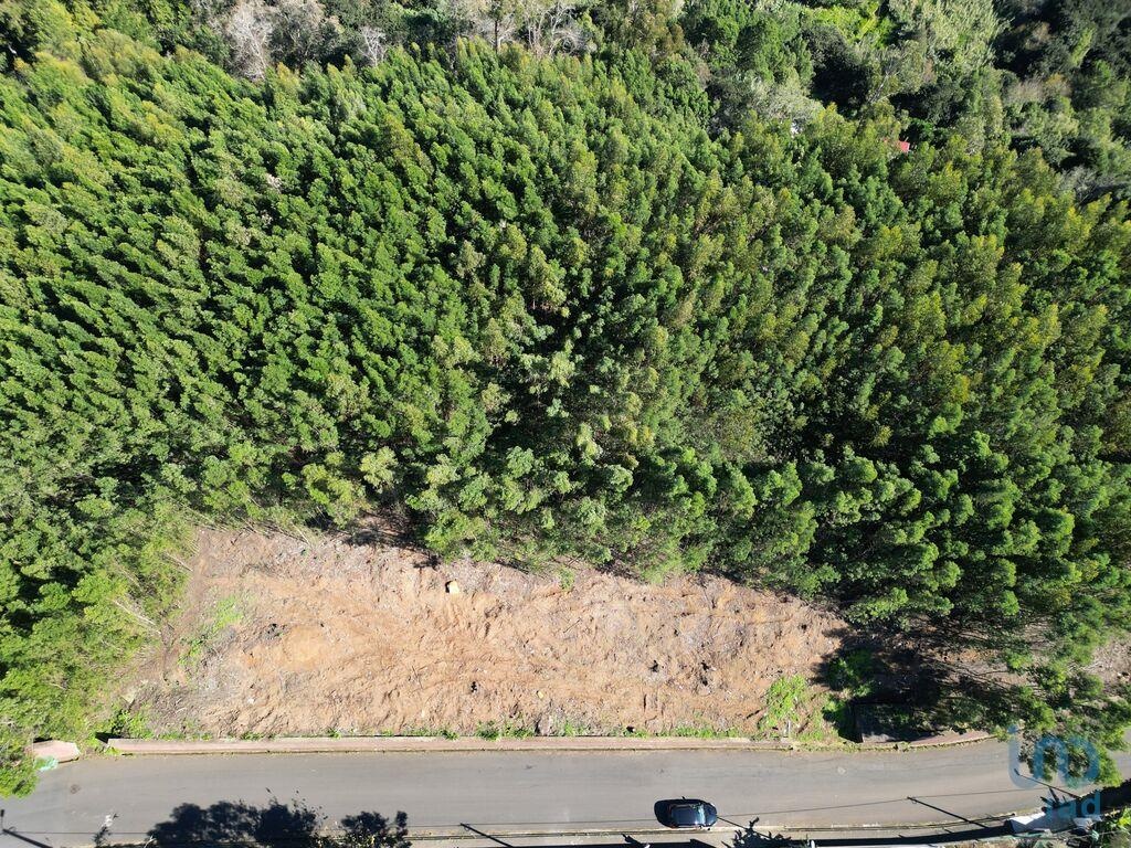 Land in Santa Cruz - view 1