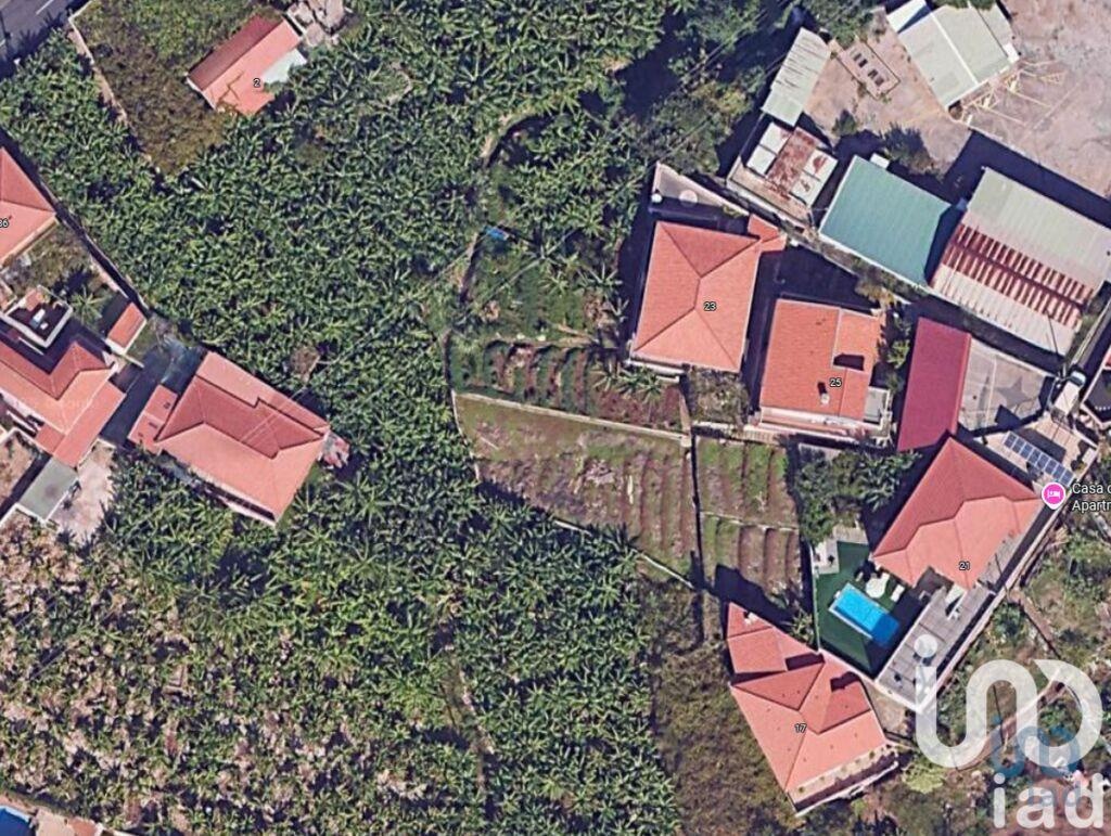 Land in Sao Martinho - view 1