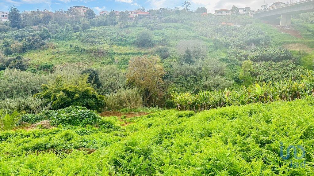 Land in Funchal - view 1