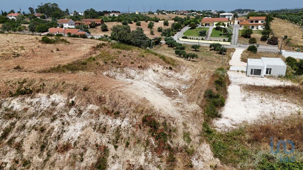 Land in Rio Maior - view 1
