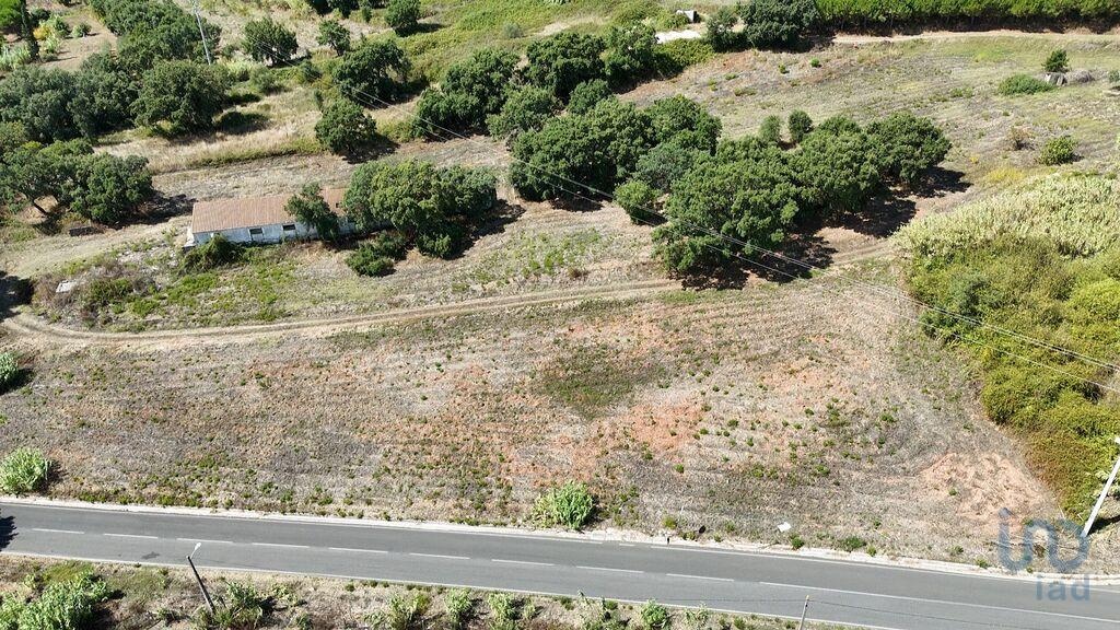 Land in Rio Maior - view 1