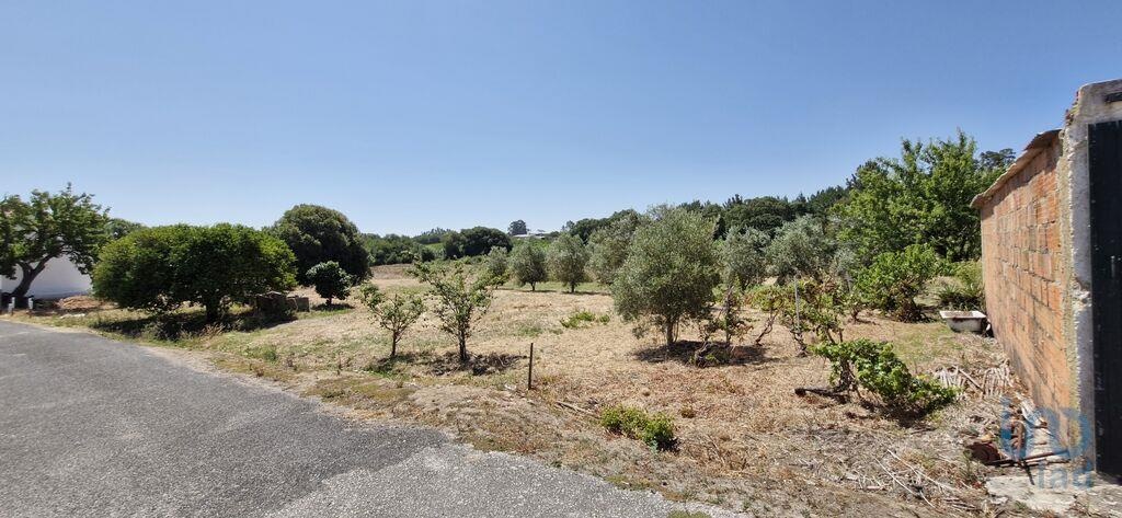 Land in Azambuja - view 1