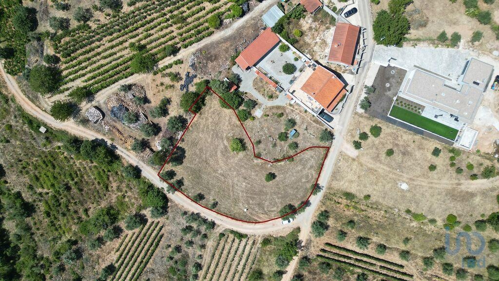 Land in Penela - view 1