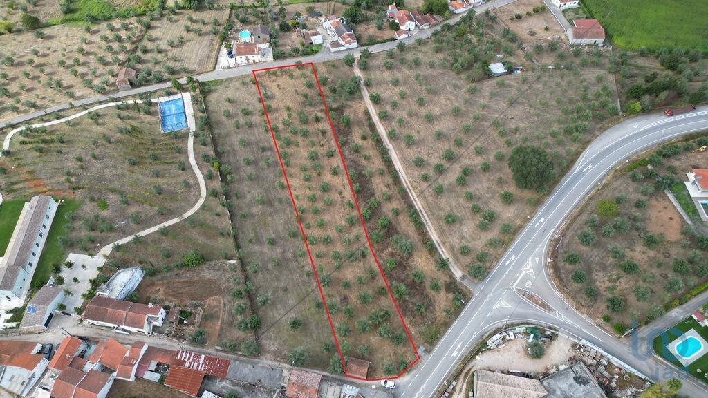 Land in Penela - view 1