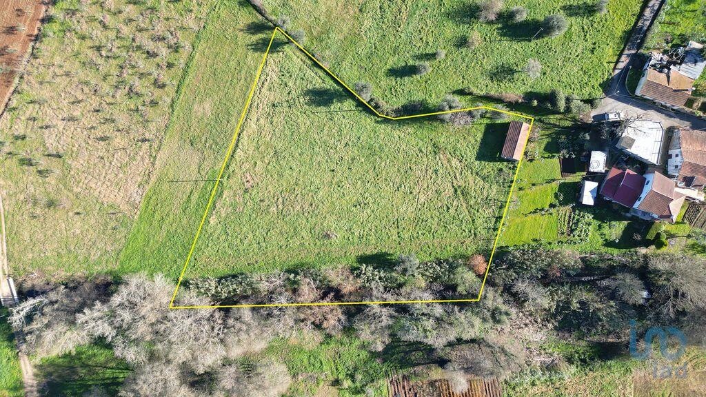 Land in Penela - view 1