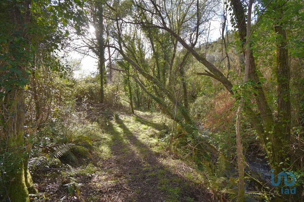 Land in Penela - view 1