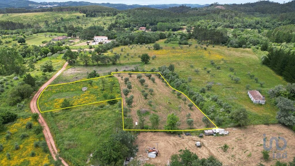 Land in Penela - view 1