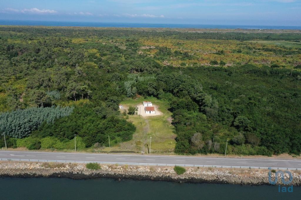 House in Murtosa - view 1