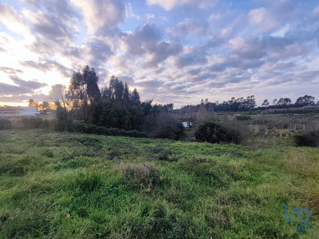 Land in Ovar - view 1