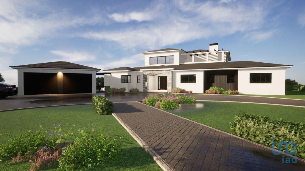 Land in Anadia - view 1