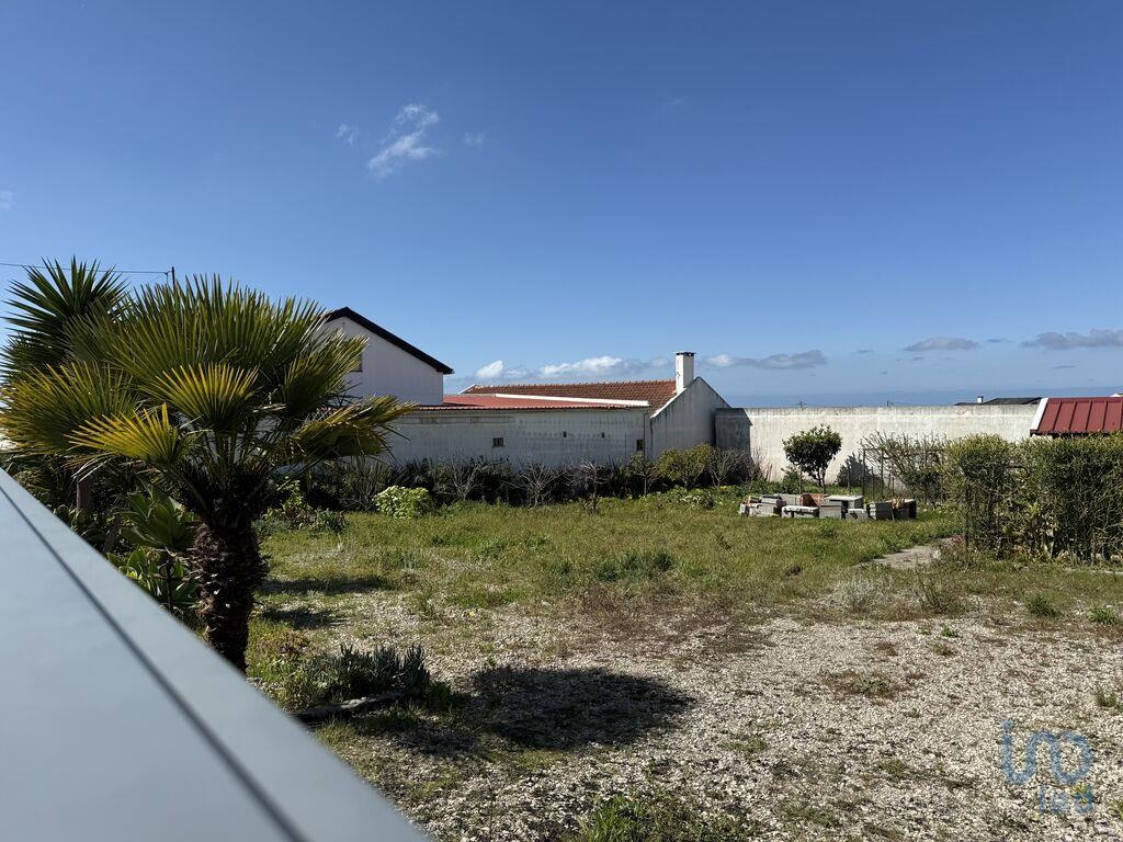 Land in Lourinha - view 1