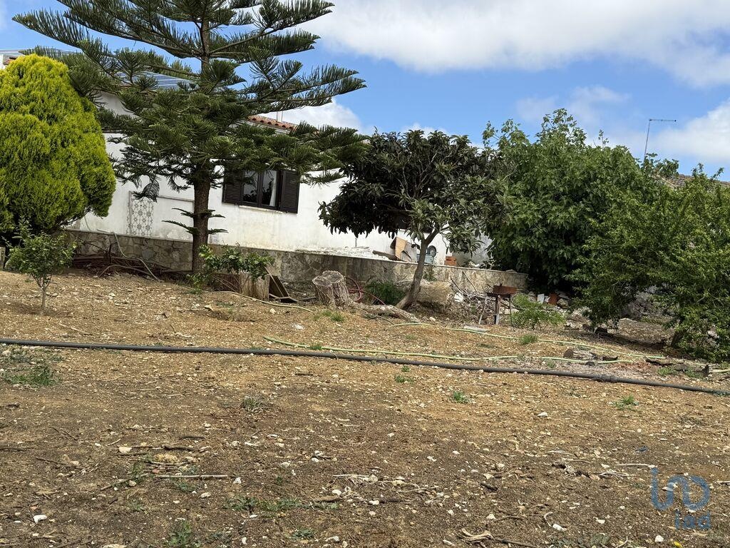 House in Lourinha - view 1