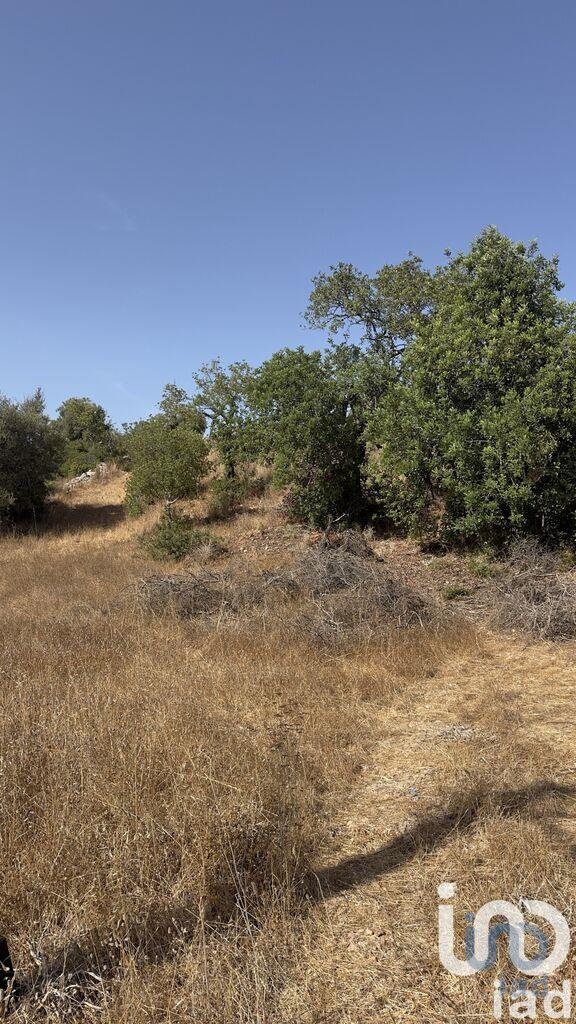 Land in Silves - view 1