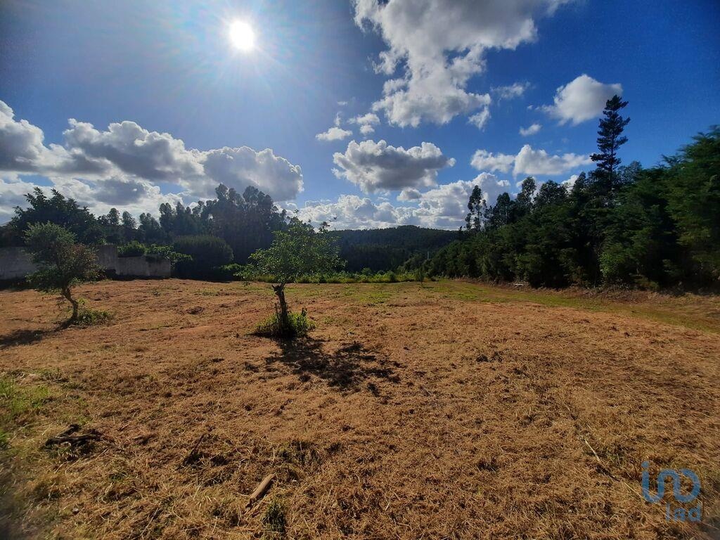 Land in Cadaval - view 1