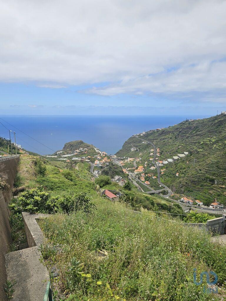 Land in Ribeira Brava - view 1