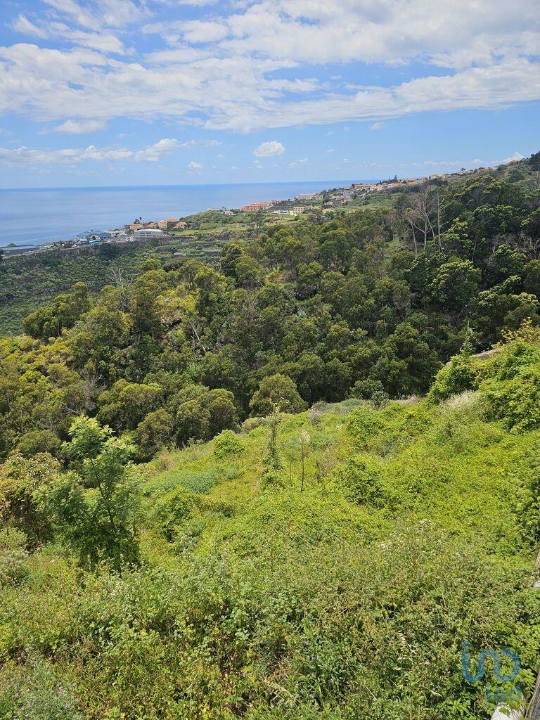 Land in Santa Cruz - view 1