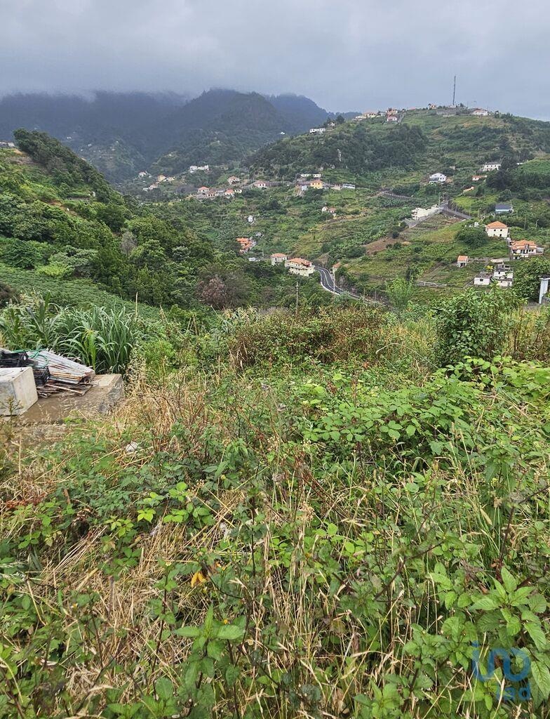 Land in Machico - view 1