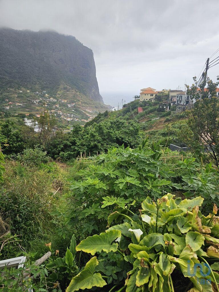 Land in Machico - view 1
