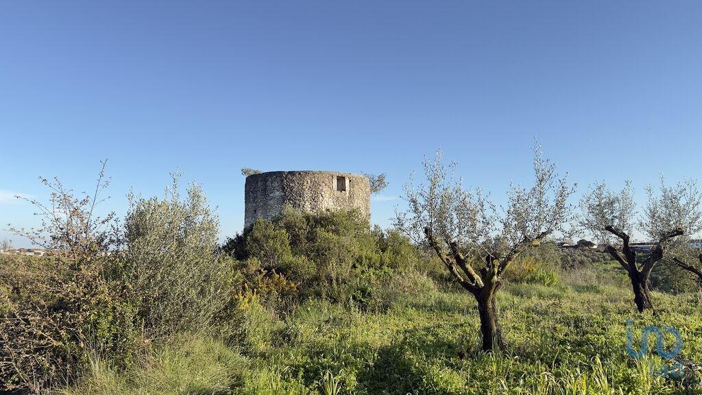 House in Santarem - view 1