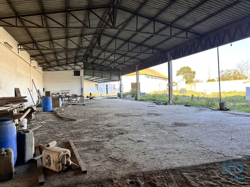 House in Golega - view 1