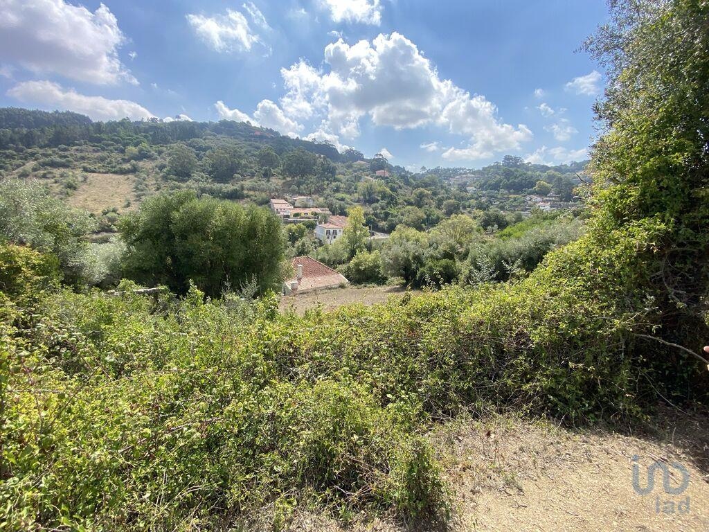 Land in Odivelas - view 1