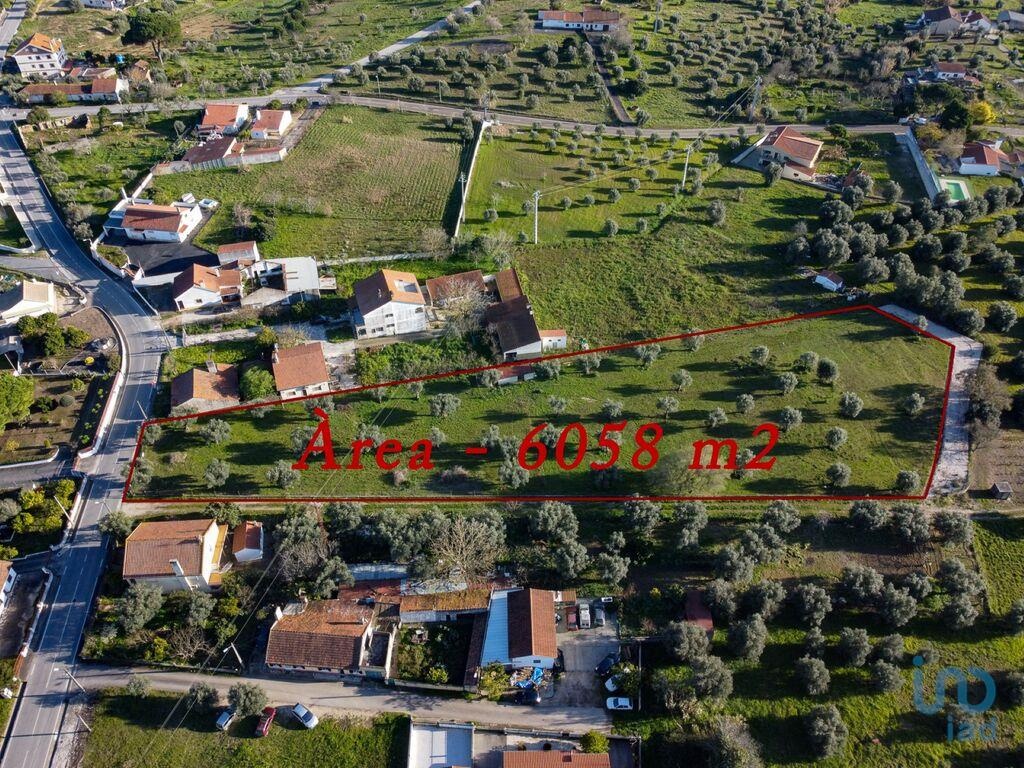 Land in Tomar - view 1