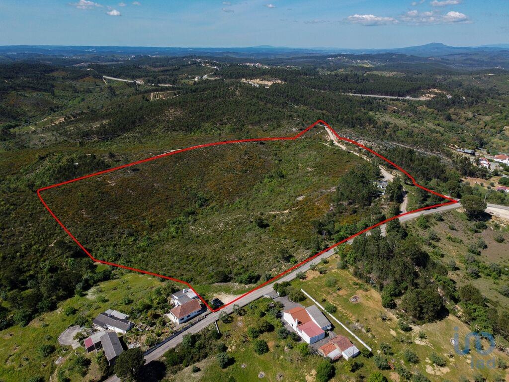 Land in Tomar - view 1