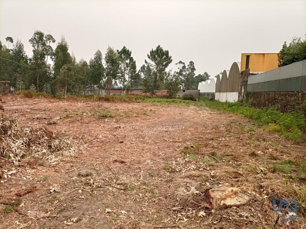 Land in Viana do Castelo - view 1