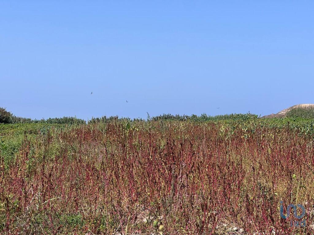Land in Peniche - view 1