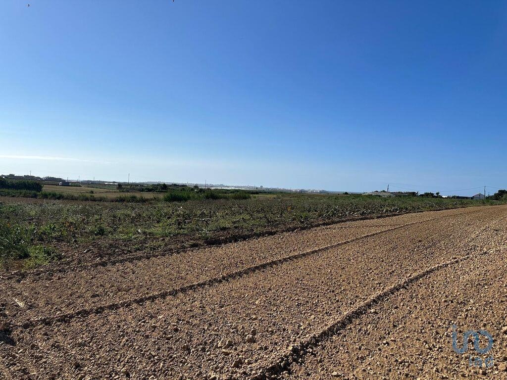 Land in Peniche - view 1