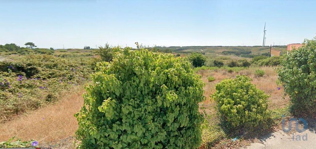 Land in Peniche - view 1