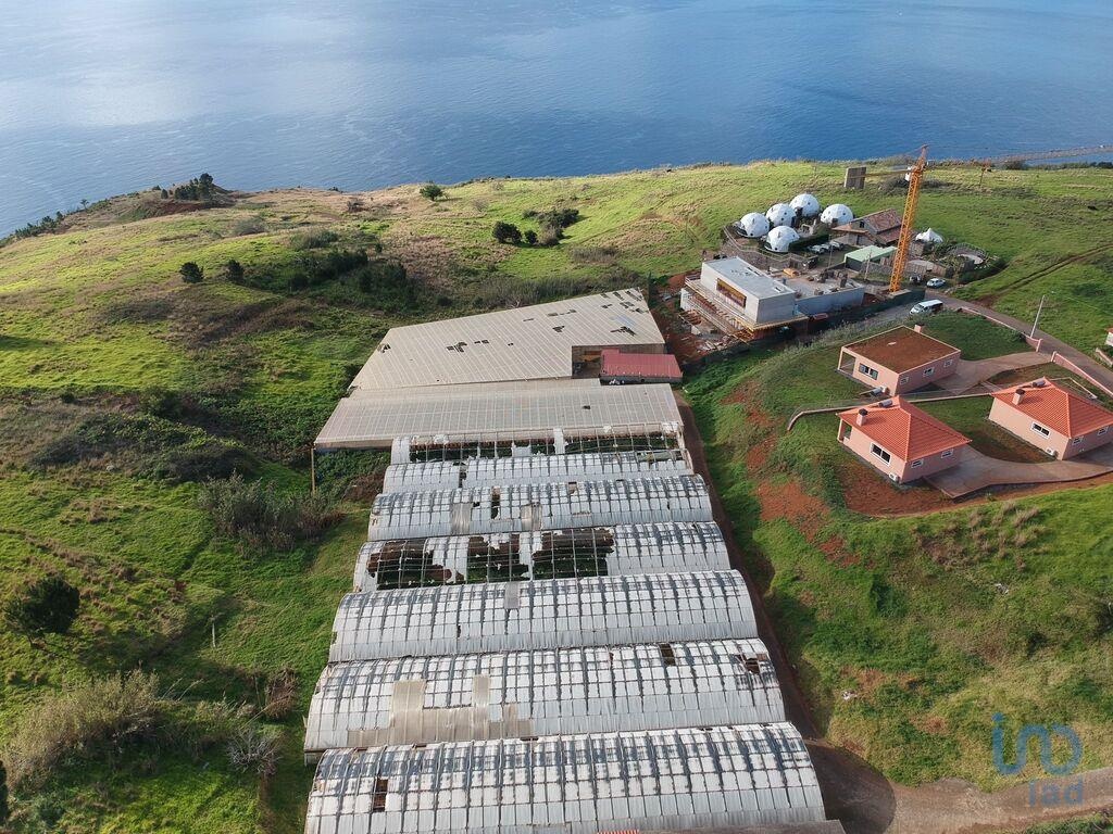 Land in Arco da Calheta - view 1