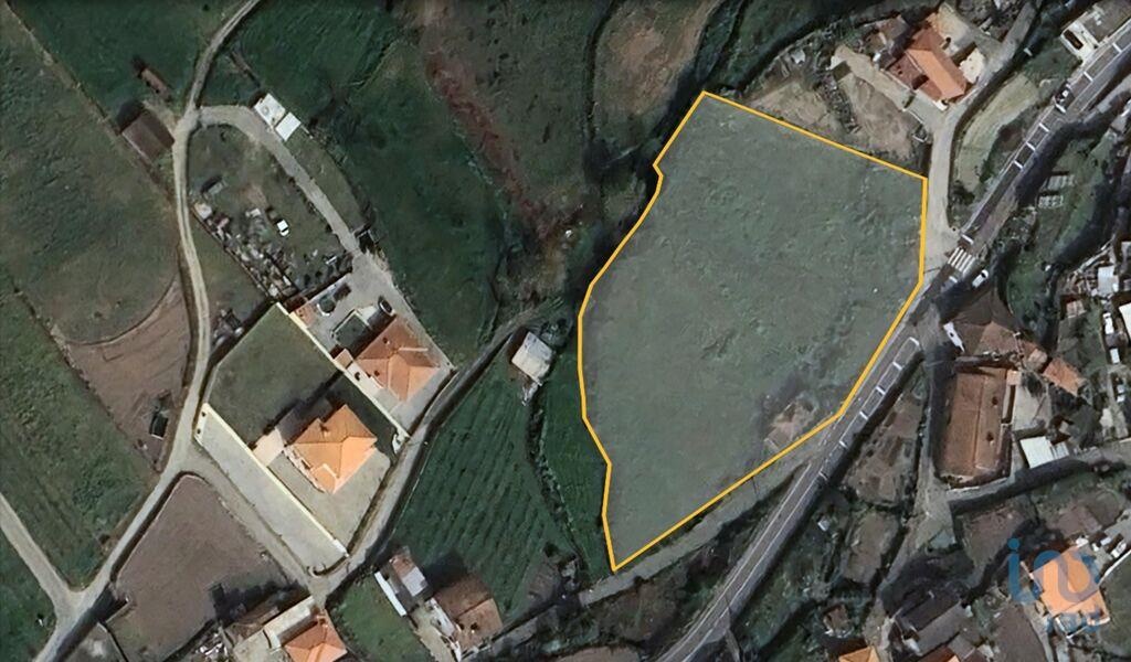 Land in Amarante - view 1