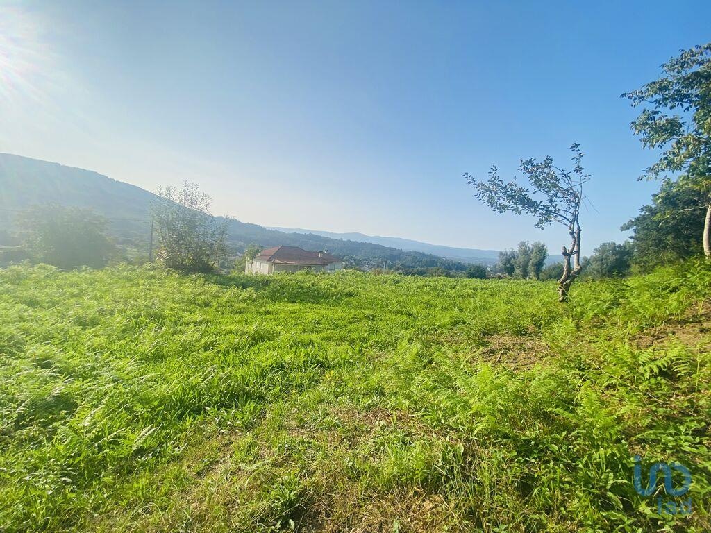 Land in Cortes - view 1