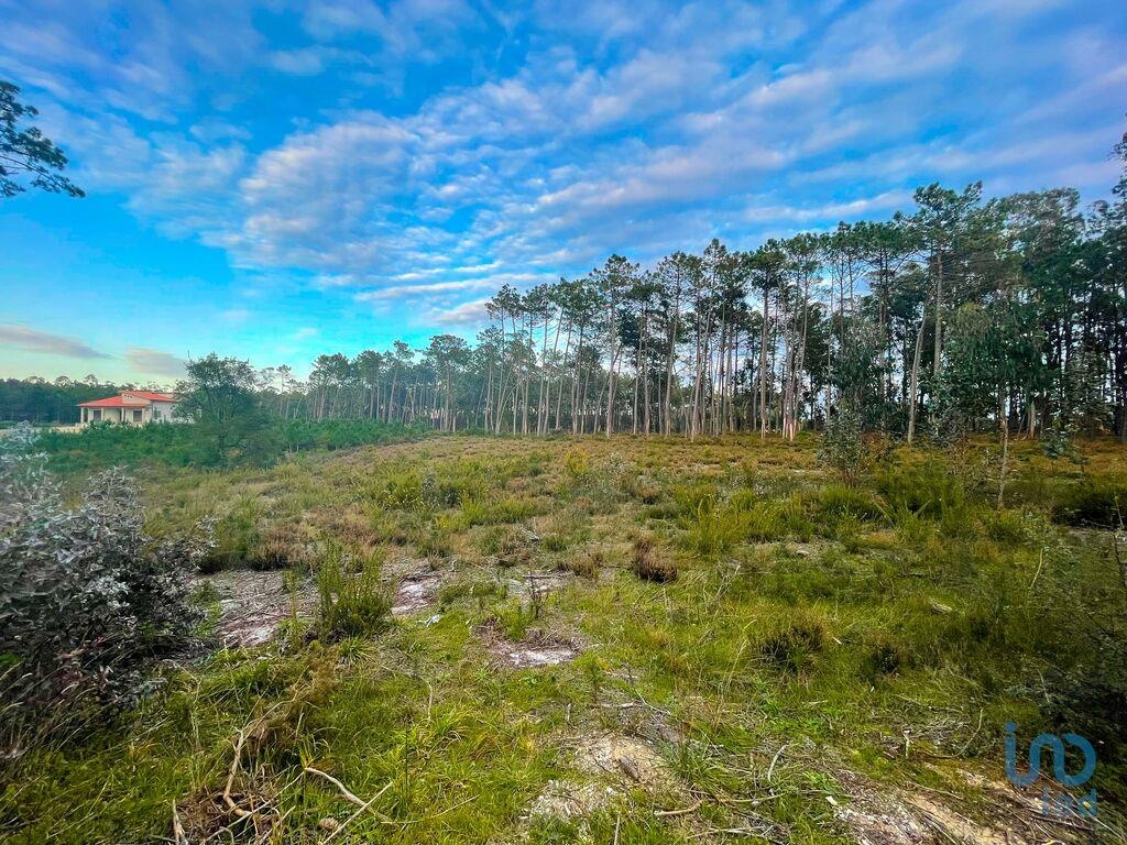 Land in Leiria - view 1