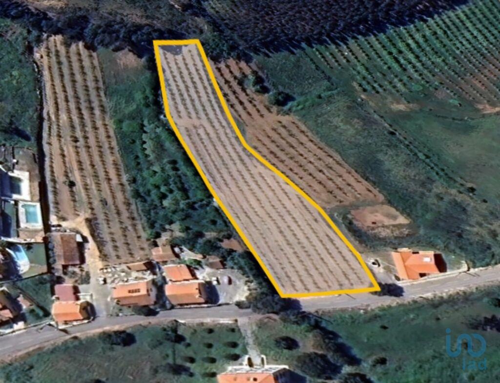 Land in Cadaval - view 1