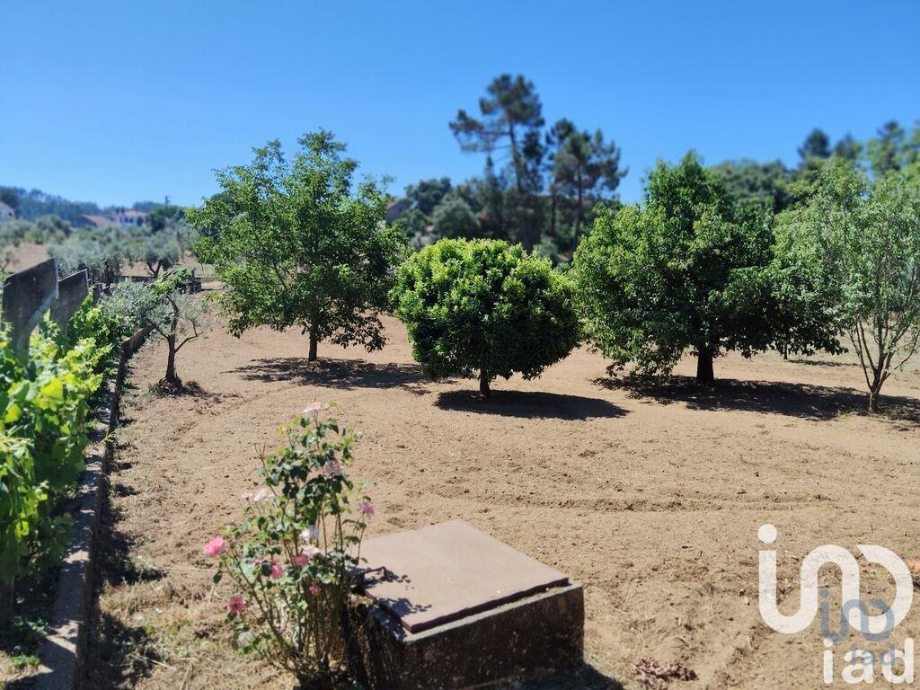 Land in Serta - view 1