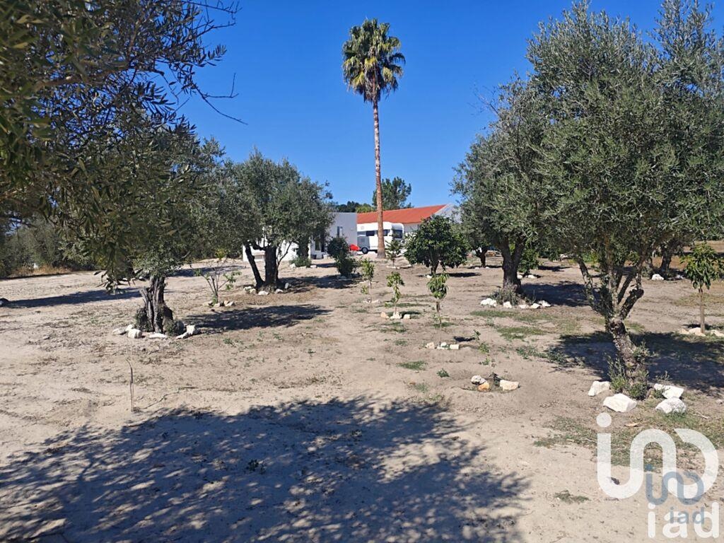 House in Coruche - view 1