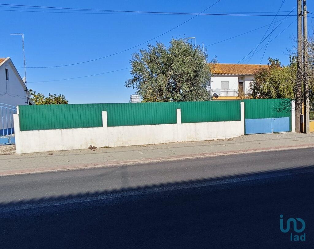Land in Coruche - view 1