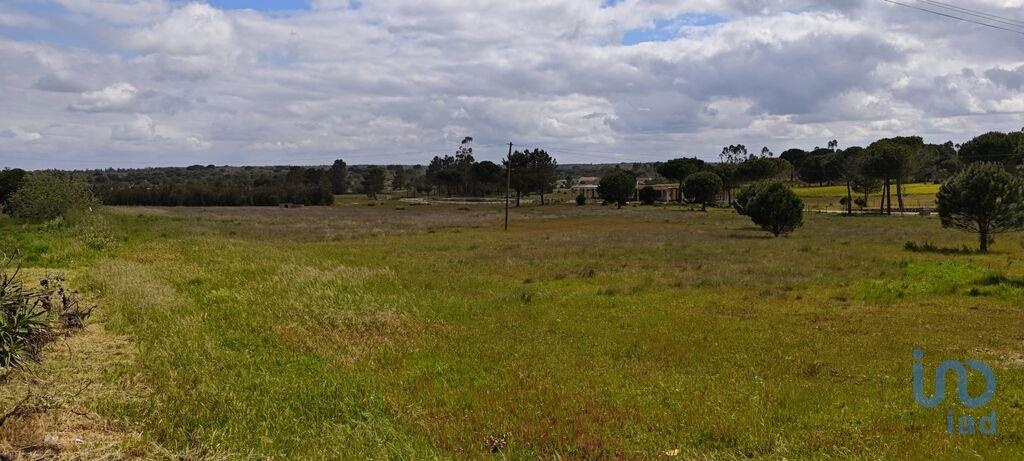 Land in Coruche - view 1