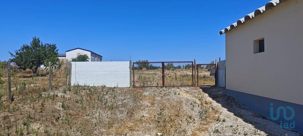Land in Coruche - view 1