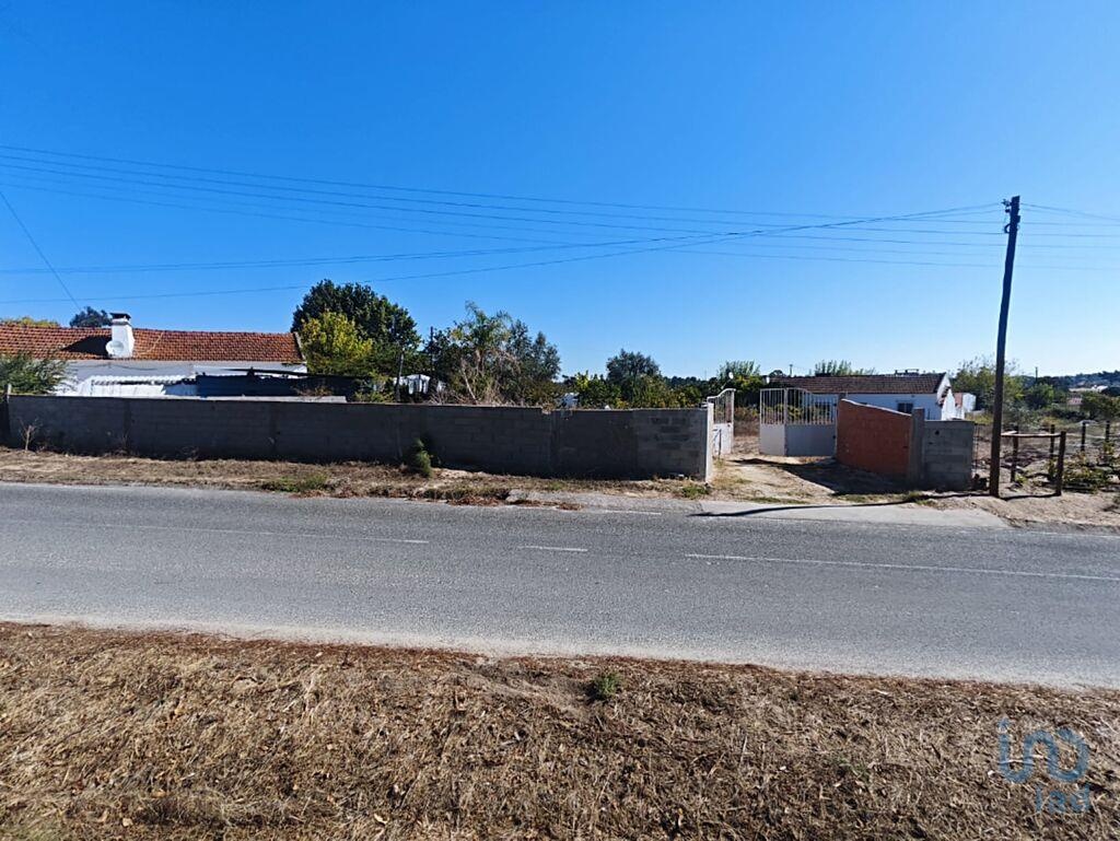 Land in Coruche - view 1