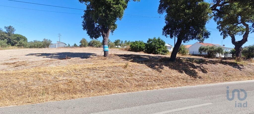 Land in Coruche - view 1