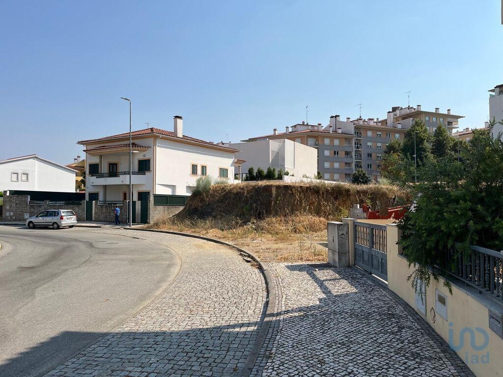 Land in Castelo Branco - view 1