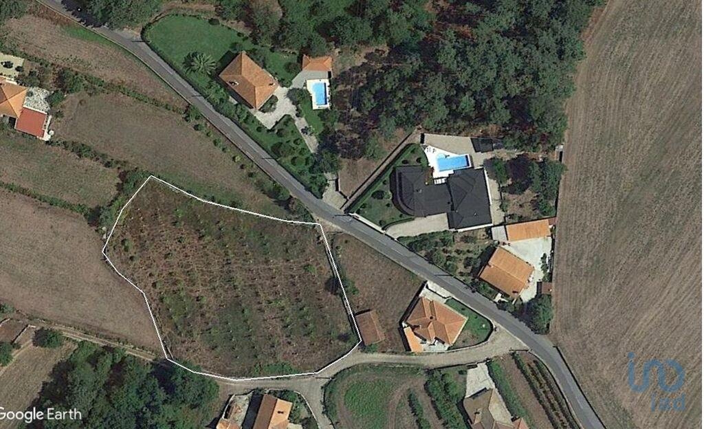 Land in Cortes - view 1